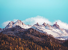 世界杯直播软件官网-全国人大代表张全收：只要身体硬朗、自己愿意，建议允许60岁以上农民工继续务工